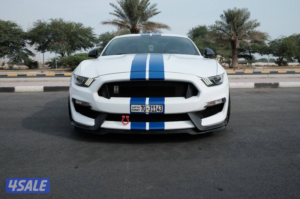 gt350 20165