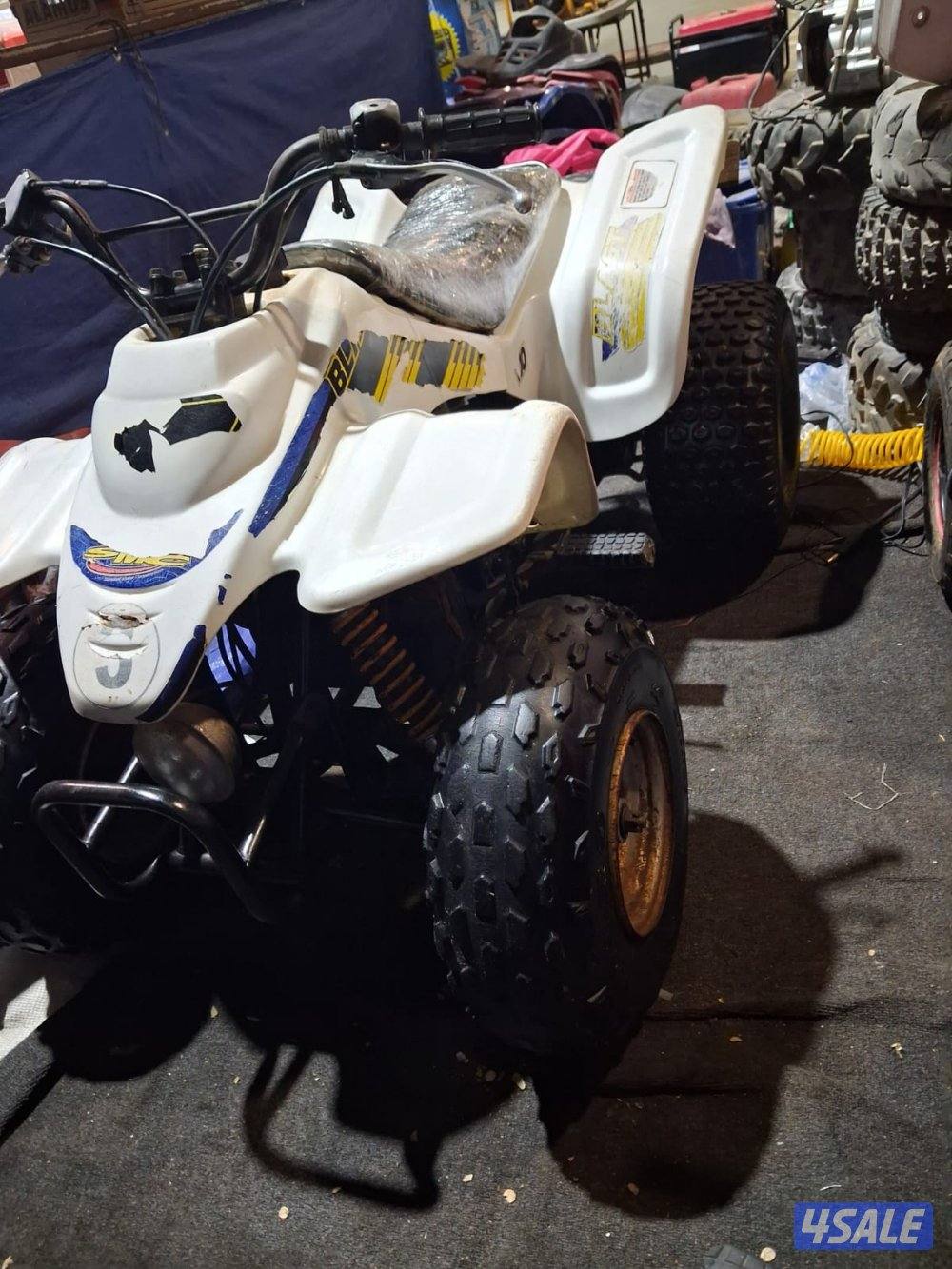 بقيات أصلية6