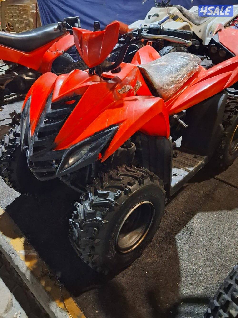 بقيات أصلية12