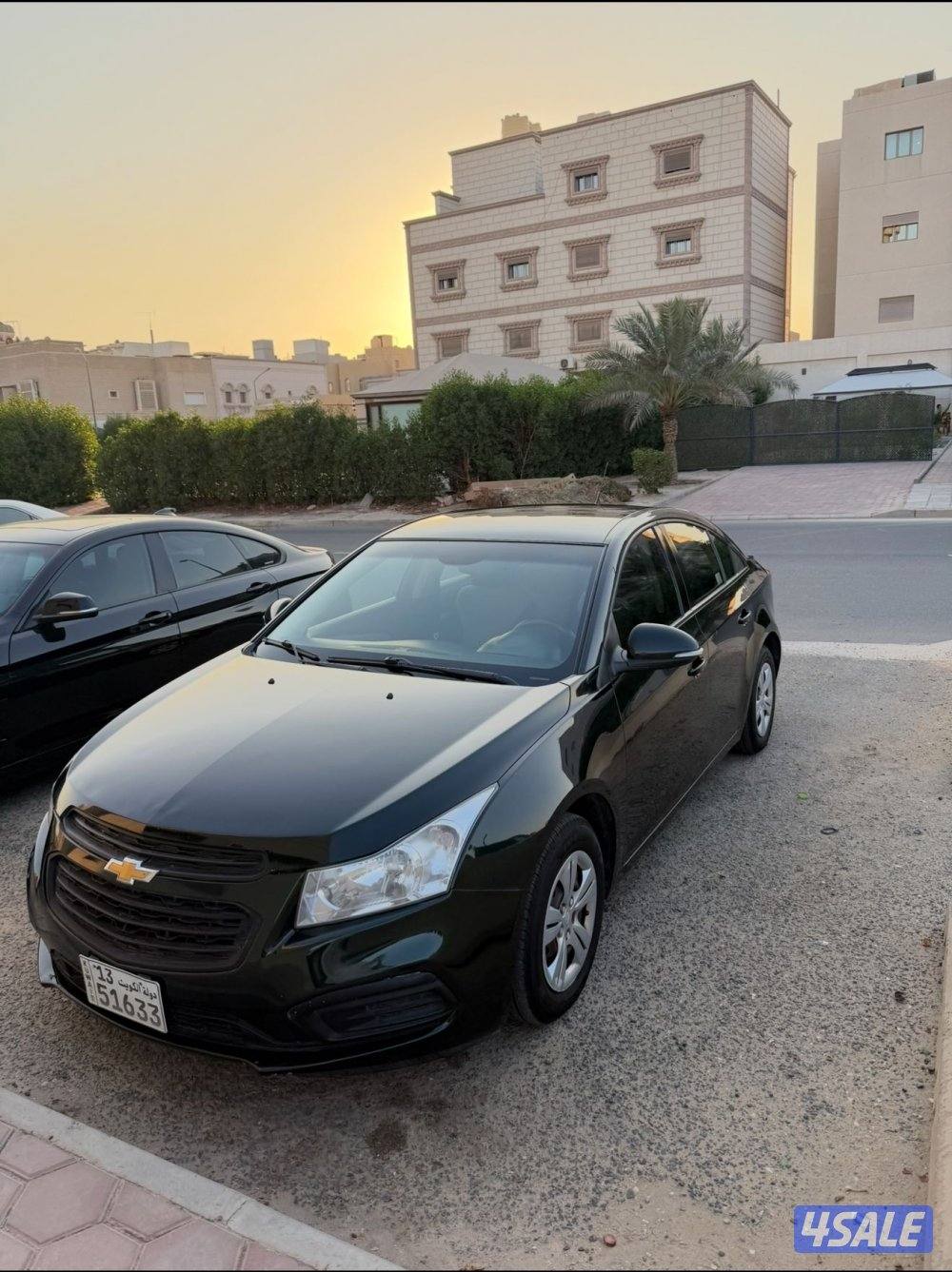 للبيع شفر كروز1