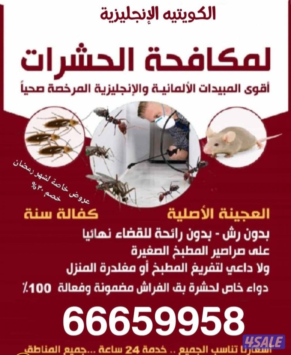 مكافحة حشرات وقوارض بالكويت مكافحة الصراصير مكافحة القوارض1