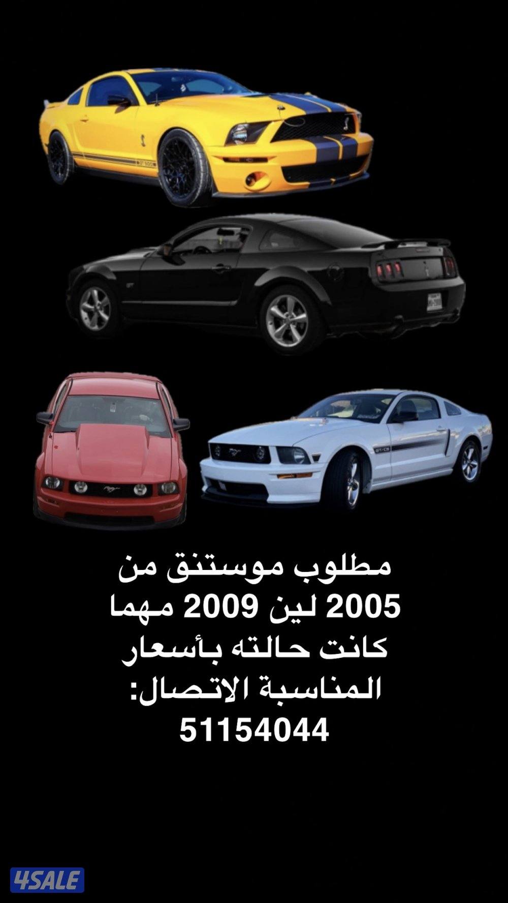 مطلوب موستنق0