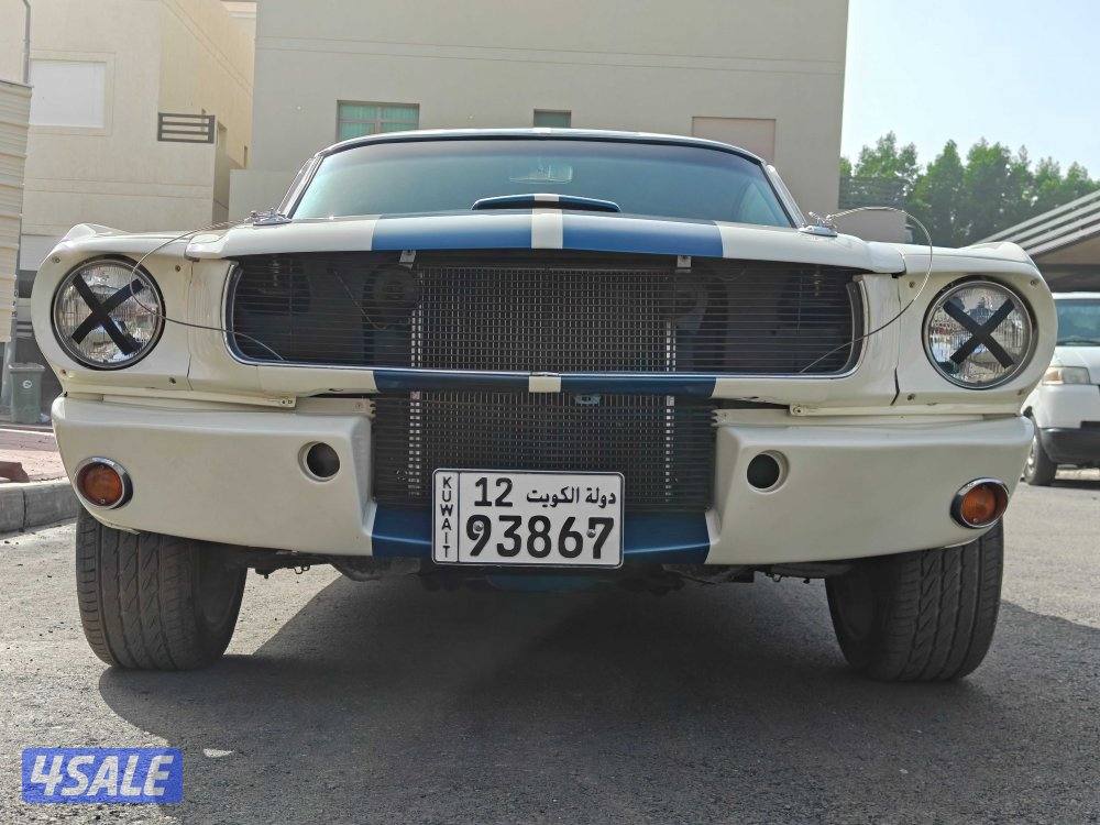 1965 Mustang Fastback9