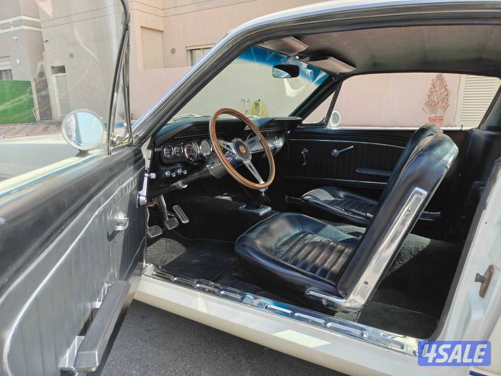 1965 Mustang Fastback12