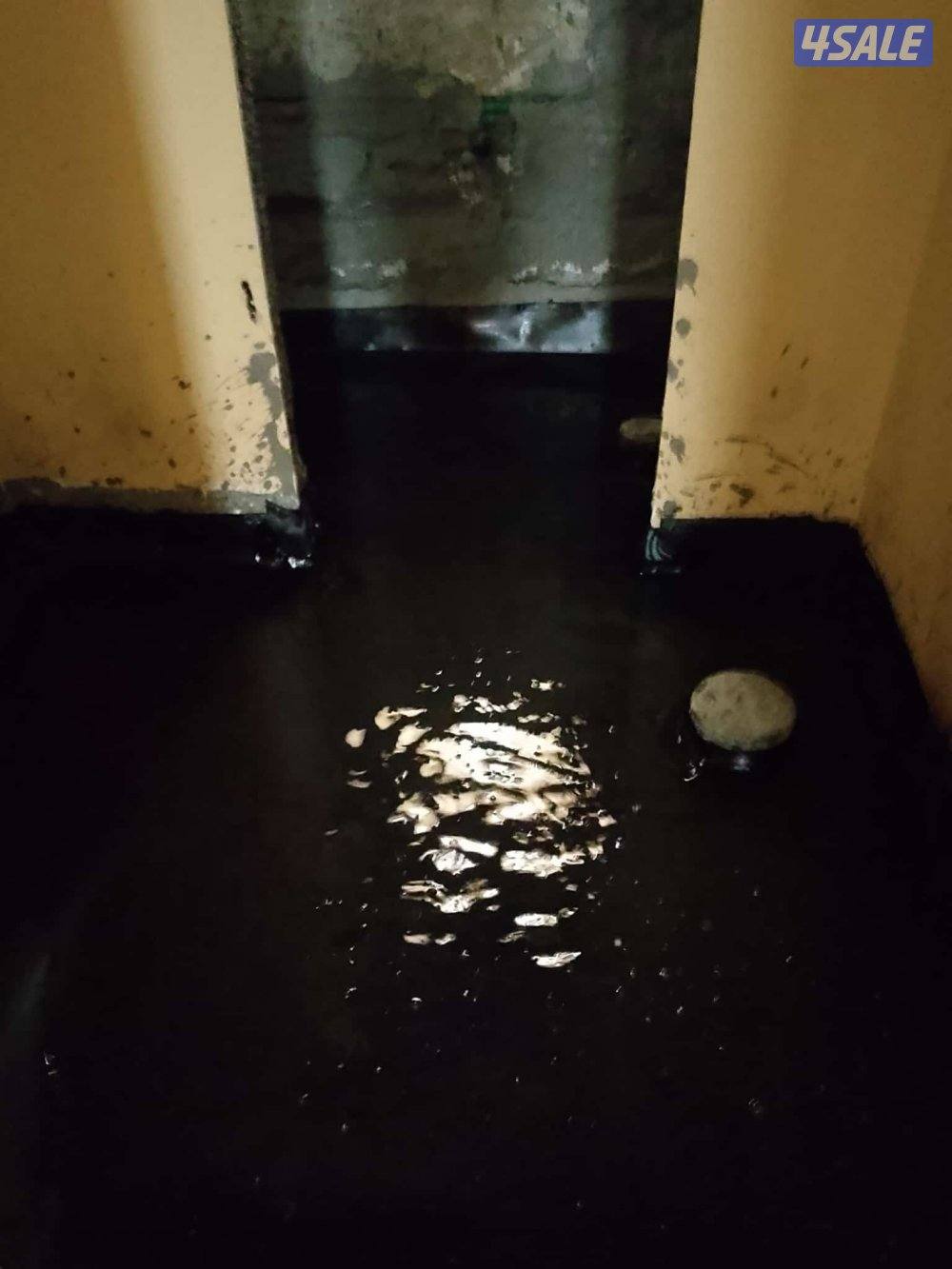 عازل ابو علي عازل الايسطح جيتاروف عازل ترطربل وعازل مياه وعازل صوت8