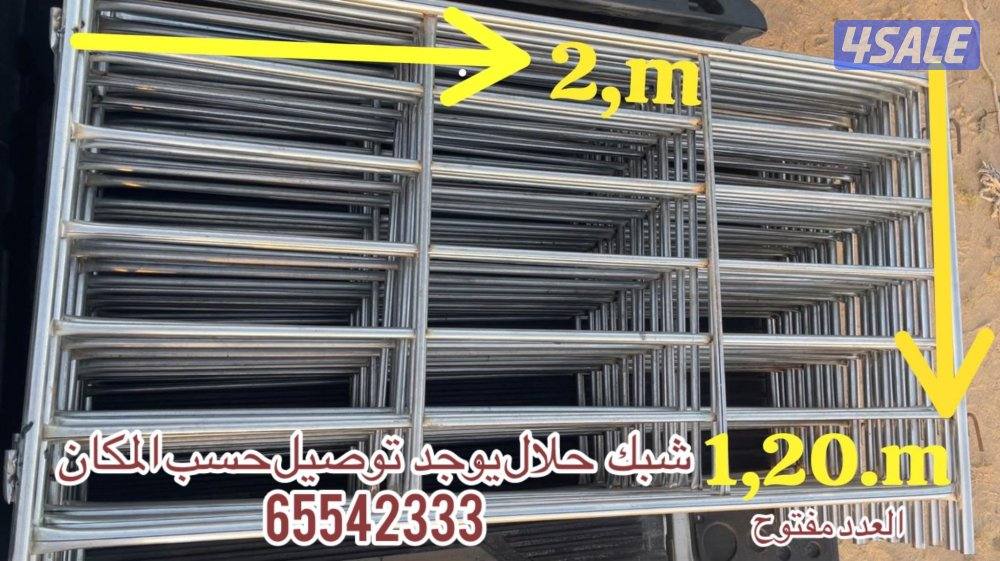 البادية للمظلات1