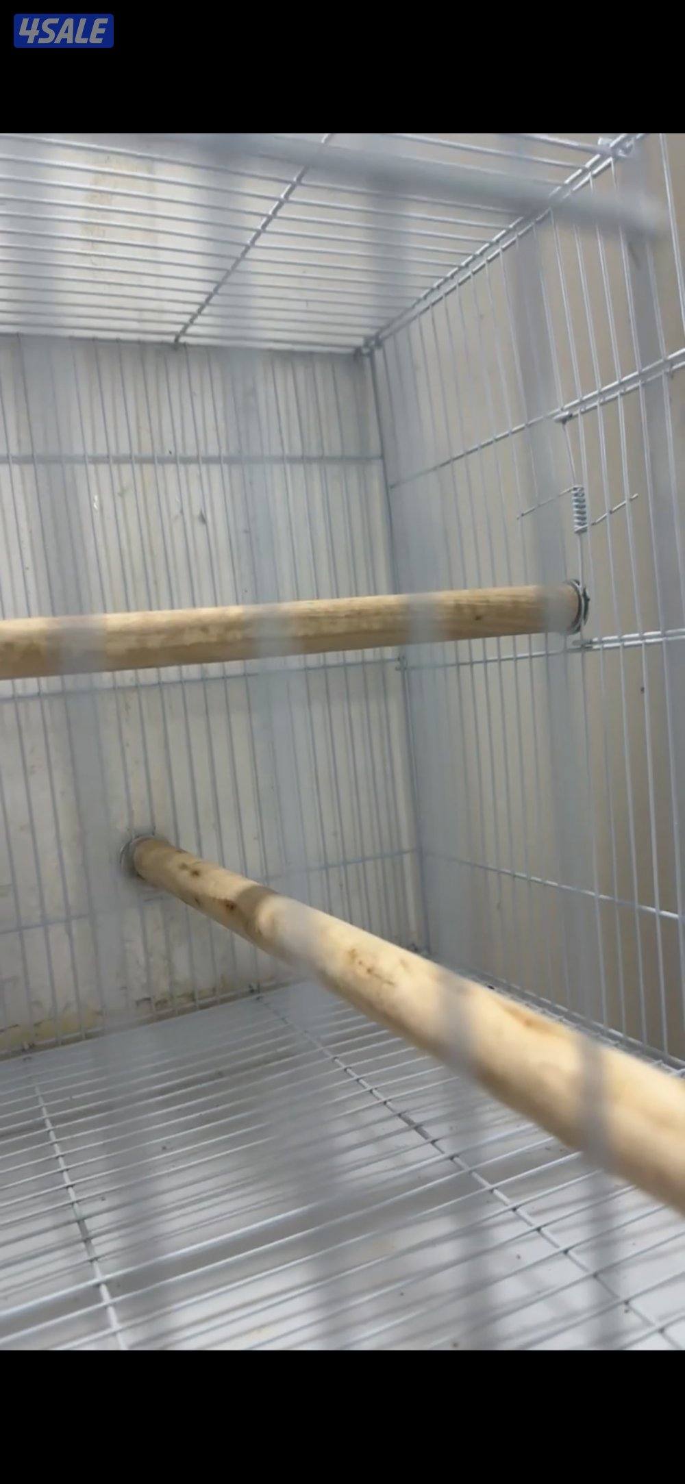 🪵 للبيع مجاثم طيور خشبية – مناسبة لقفص 601 🐦1