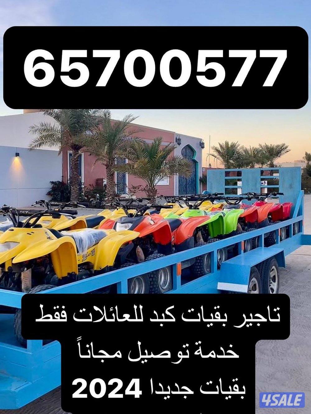 تاجير بقيات جبد0