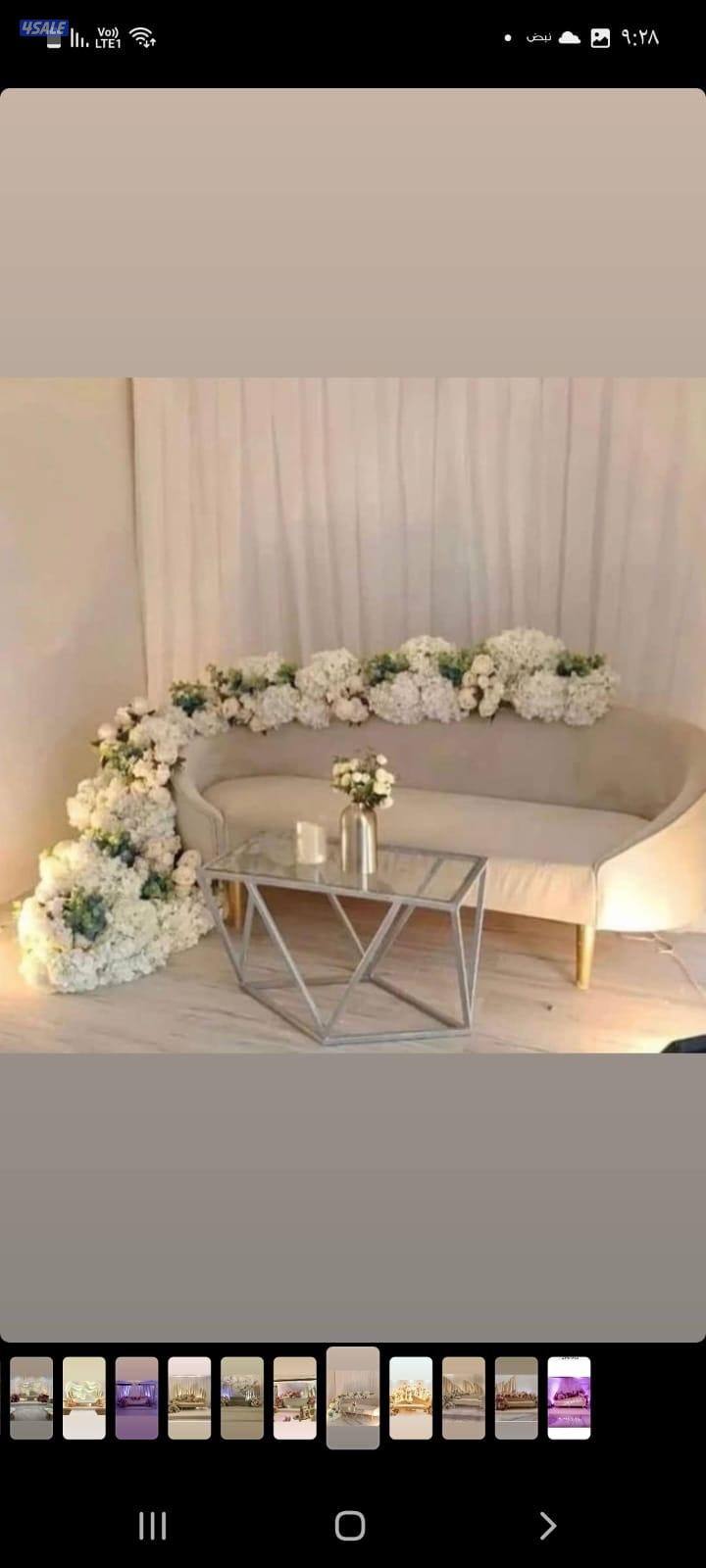 كراسي شفاف كراسي مطروق كنف امريكي كراسي عاديه طاولات تقديم طاولات8