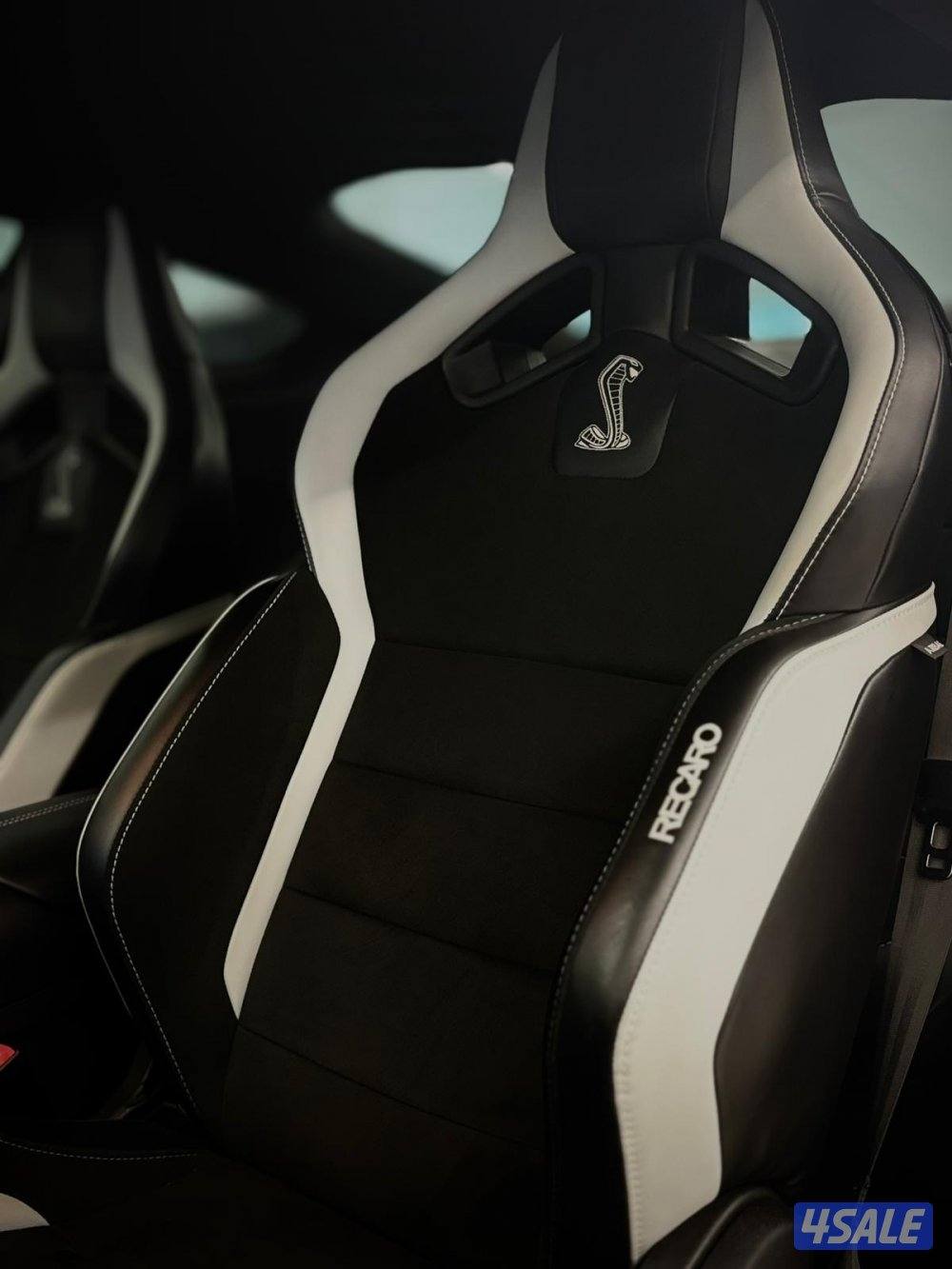 موستنق شيلبي GT500 🐍3