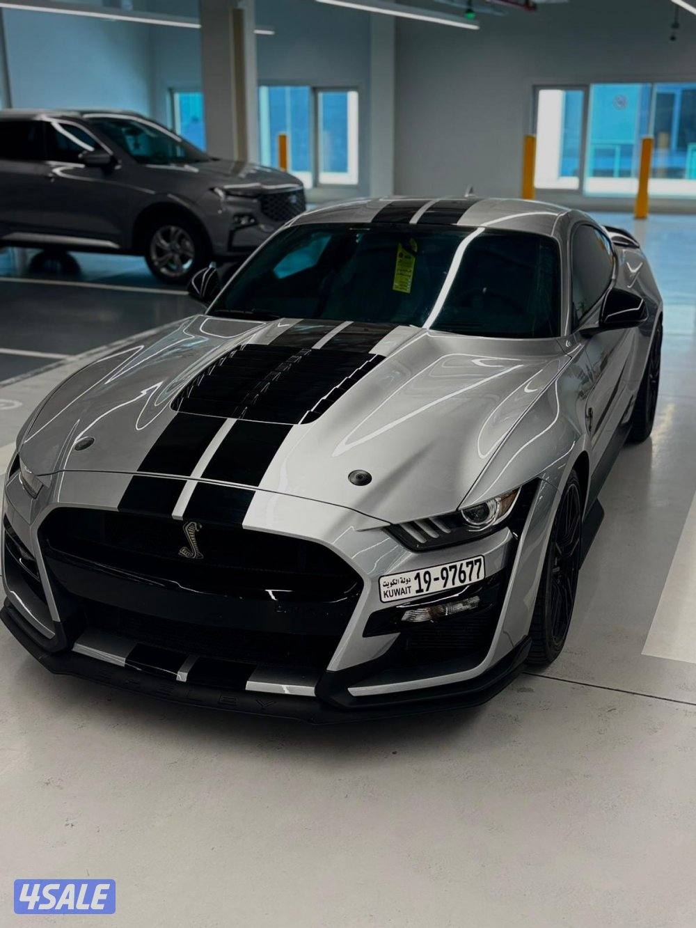 موستنق شيلبي GT500 🐍5