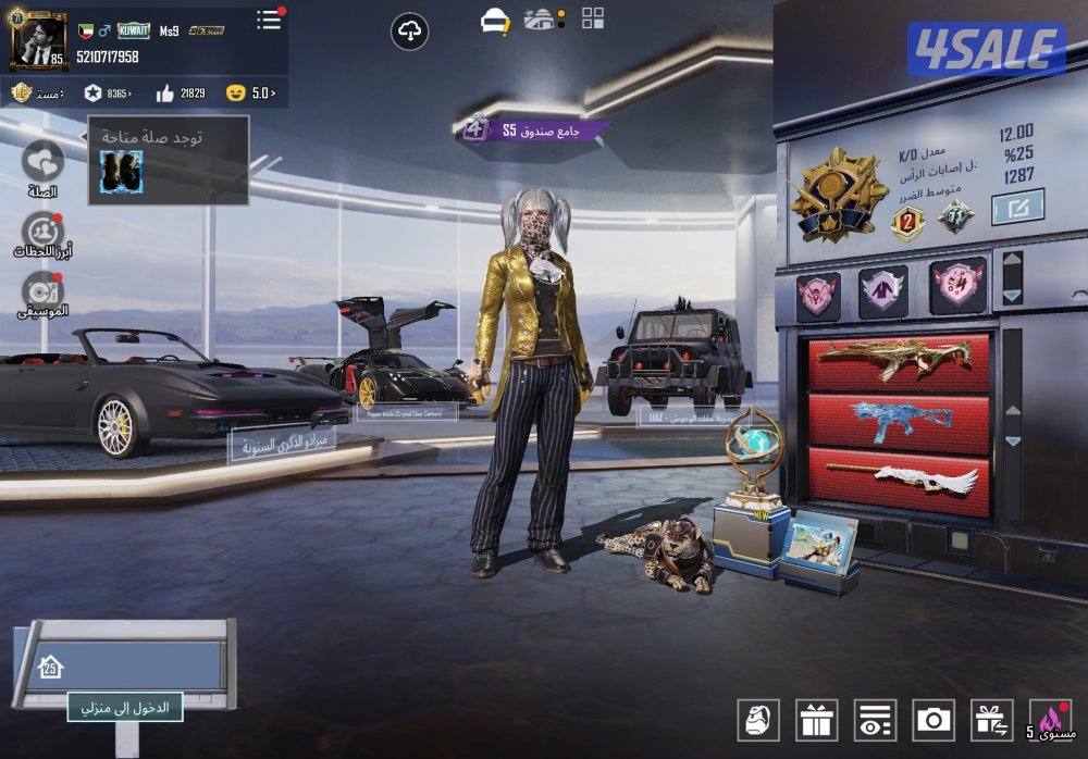 للبيع حساب ببجي2