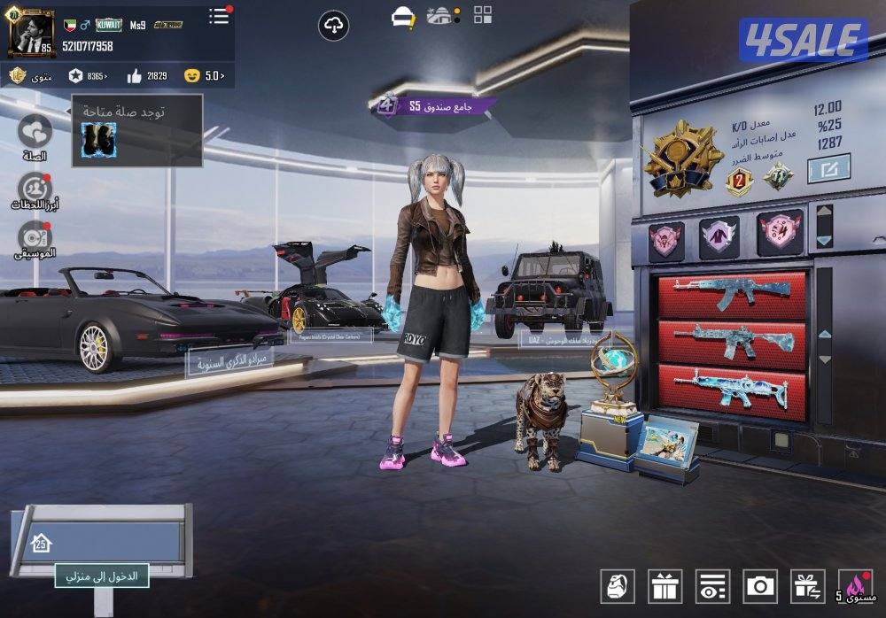 للبيع حساب ببجي4