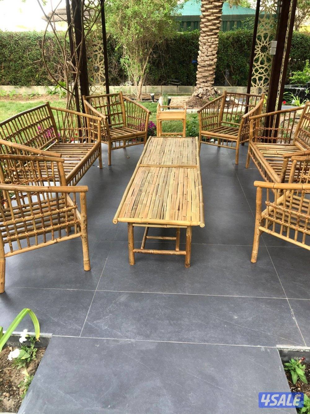 نحوّل المساحات الفارغة إلى حدائق تنبض بالحياة7