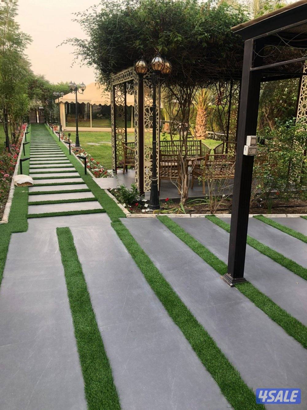 نحوّل المساحات الفارغة إلى حدائق تنبض بالحياة8