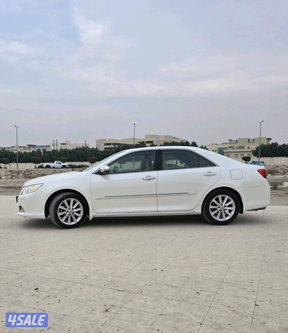 اوريون صبغ وكالة فل اوبشن2