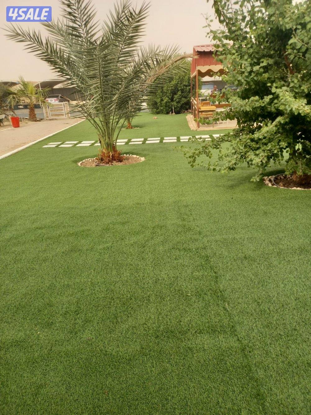 تنسيق الحدائق10