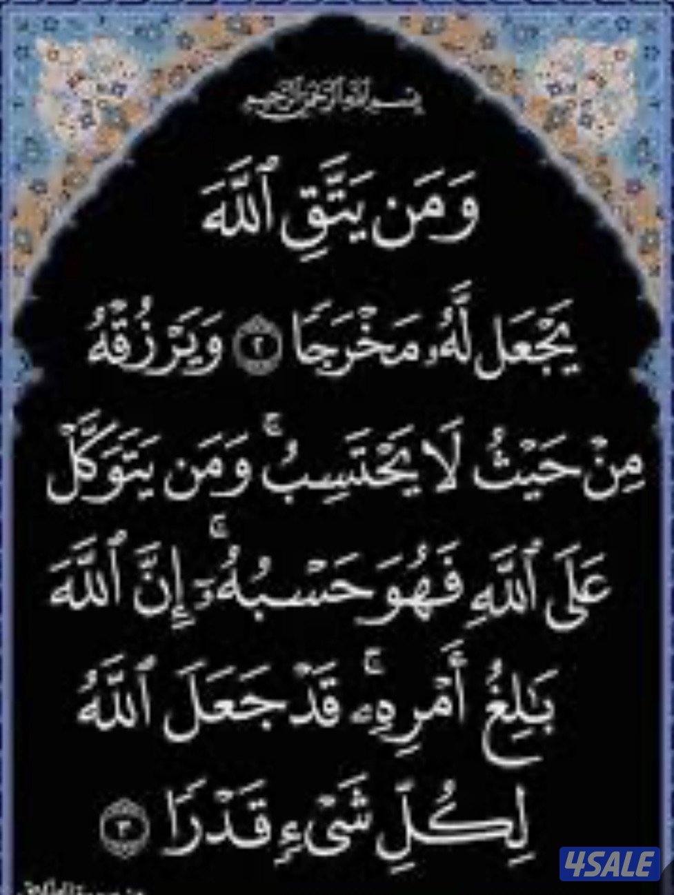 لدي ليسن عام وأبحث عن عمل0