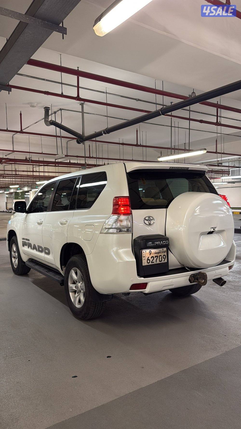 TXL صبغ الوكالة0