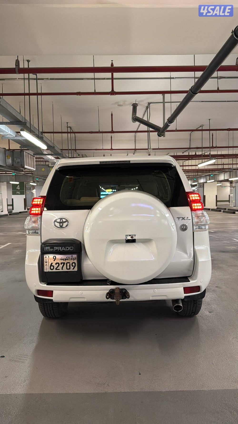 TXL صبغ الوكالة2