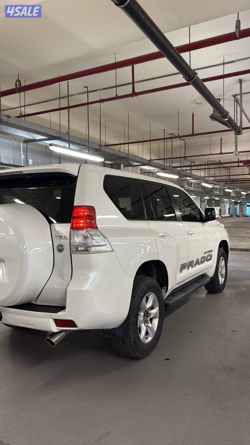 TXL صبغ الوكالة3