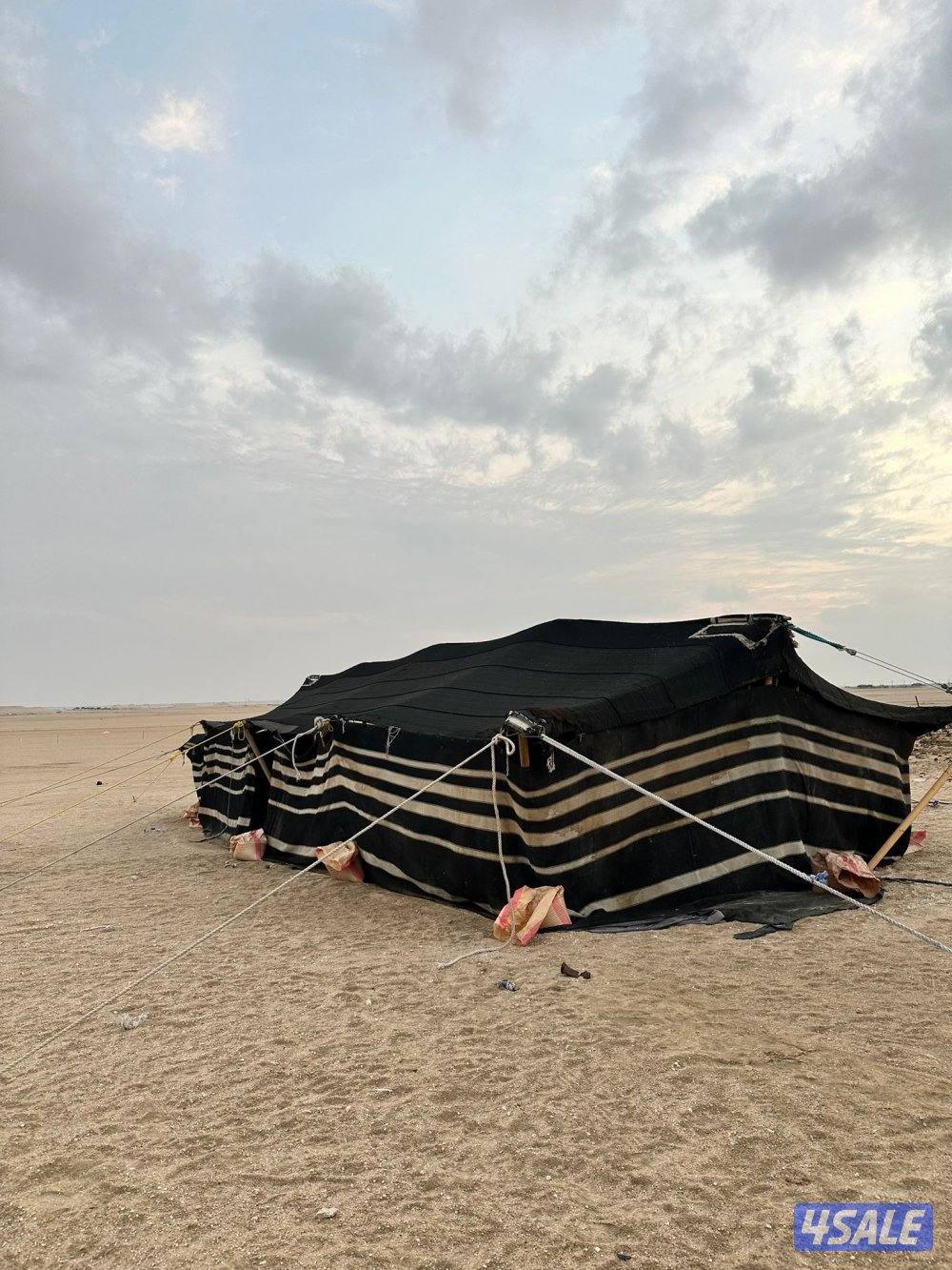 للبيع بيت شعر مستعمل استعمال وسط1