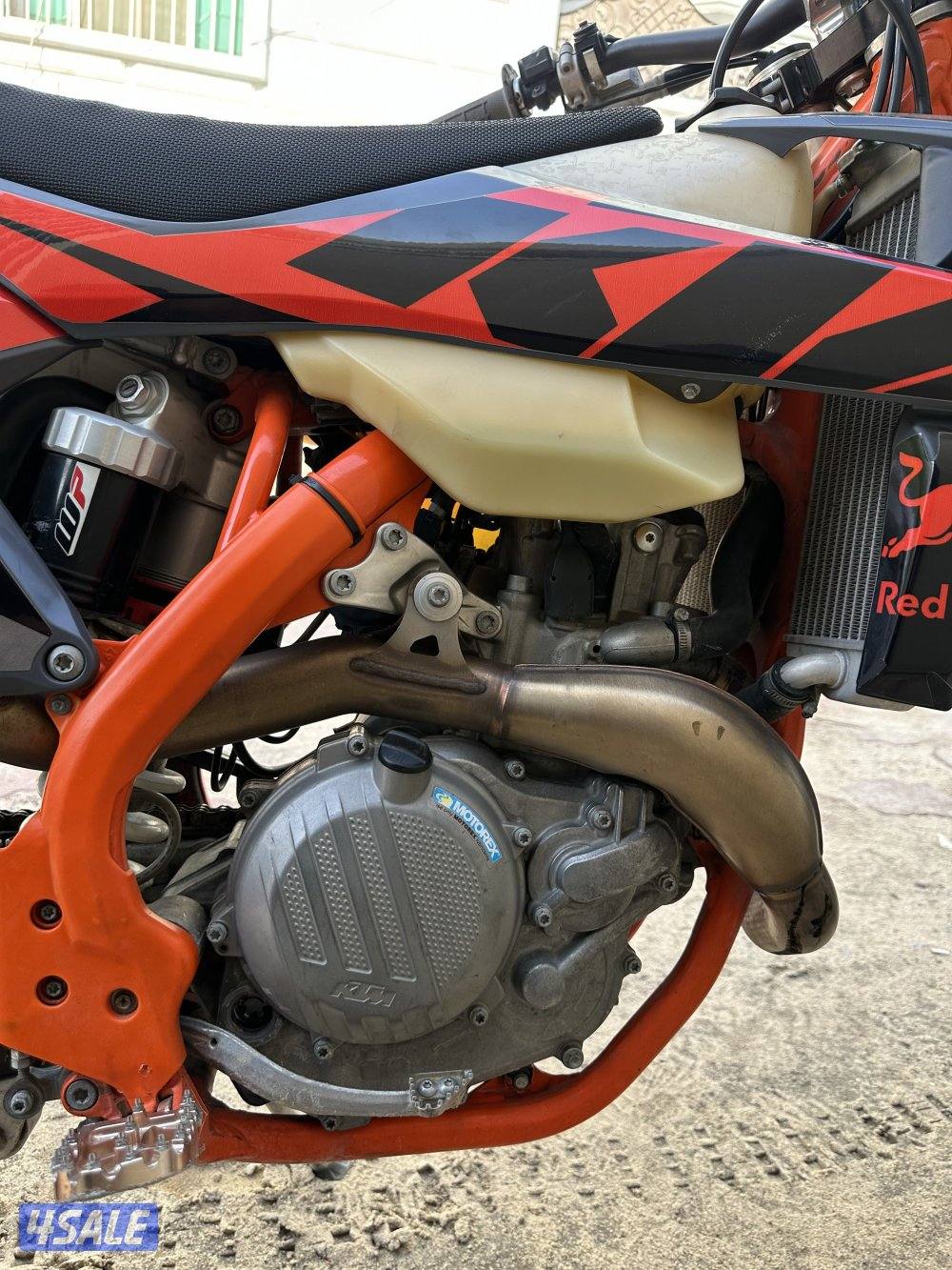 صباح الناصر2