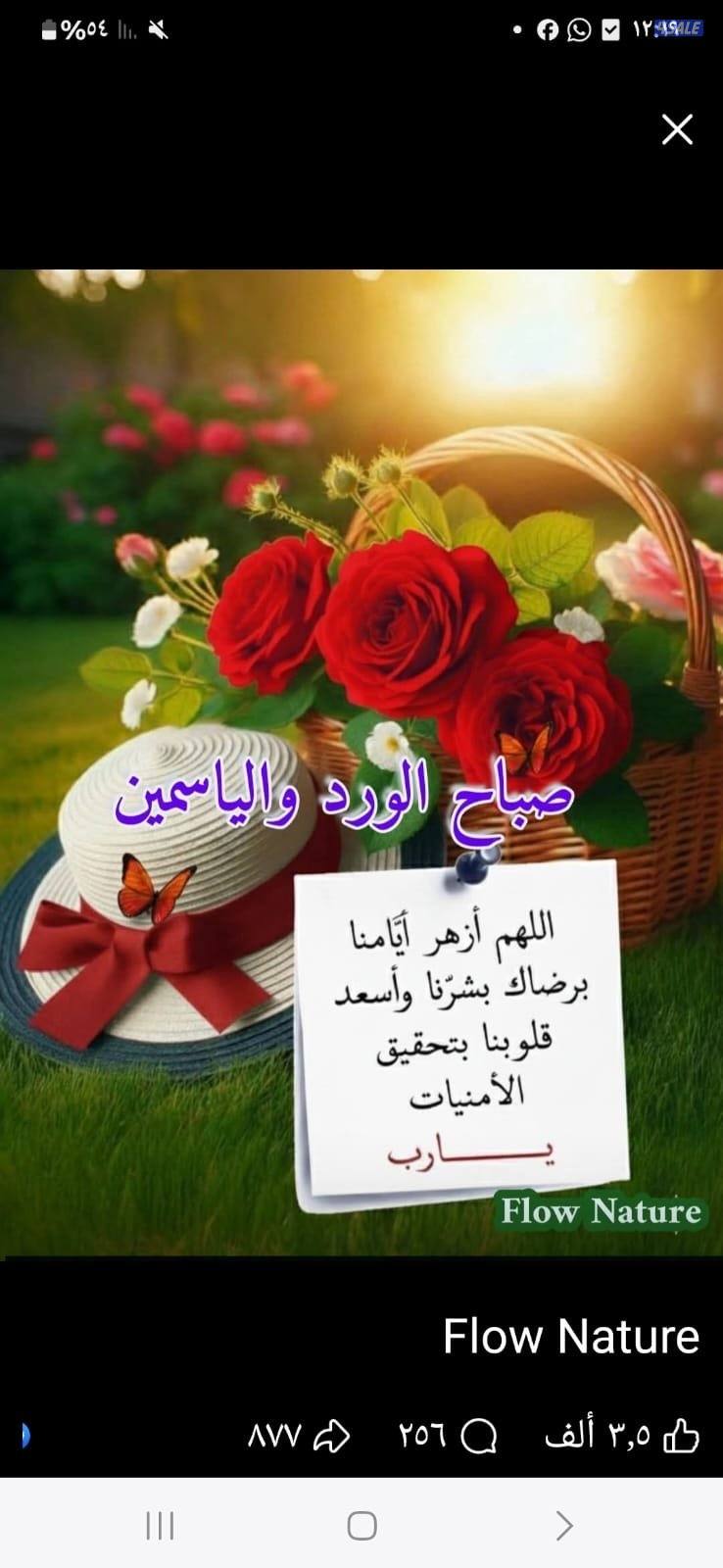 اجار بيت سكني1