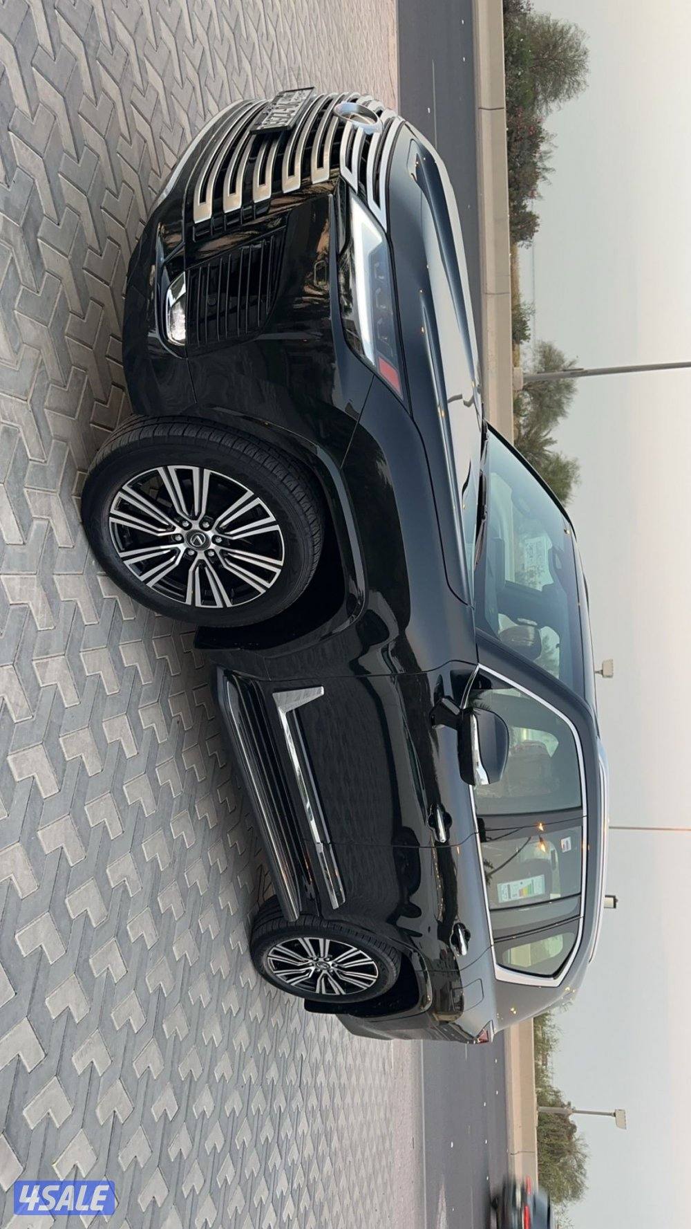 شبه اصفار الدرجه الأولى3