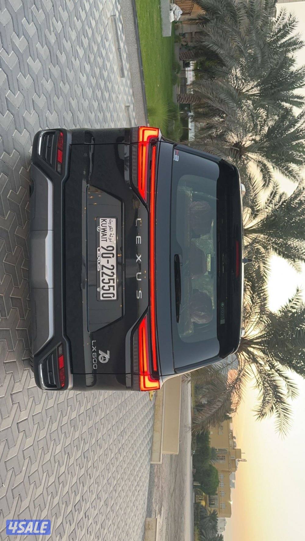 شبه اصفار الدرجه الأولى4