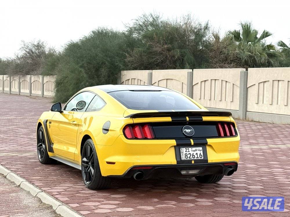 📍موستنج قير عادي عداد 77 صبغ وكاله📍3