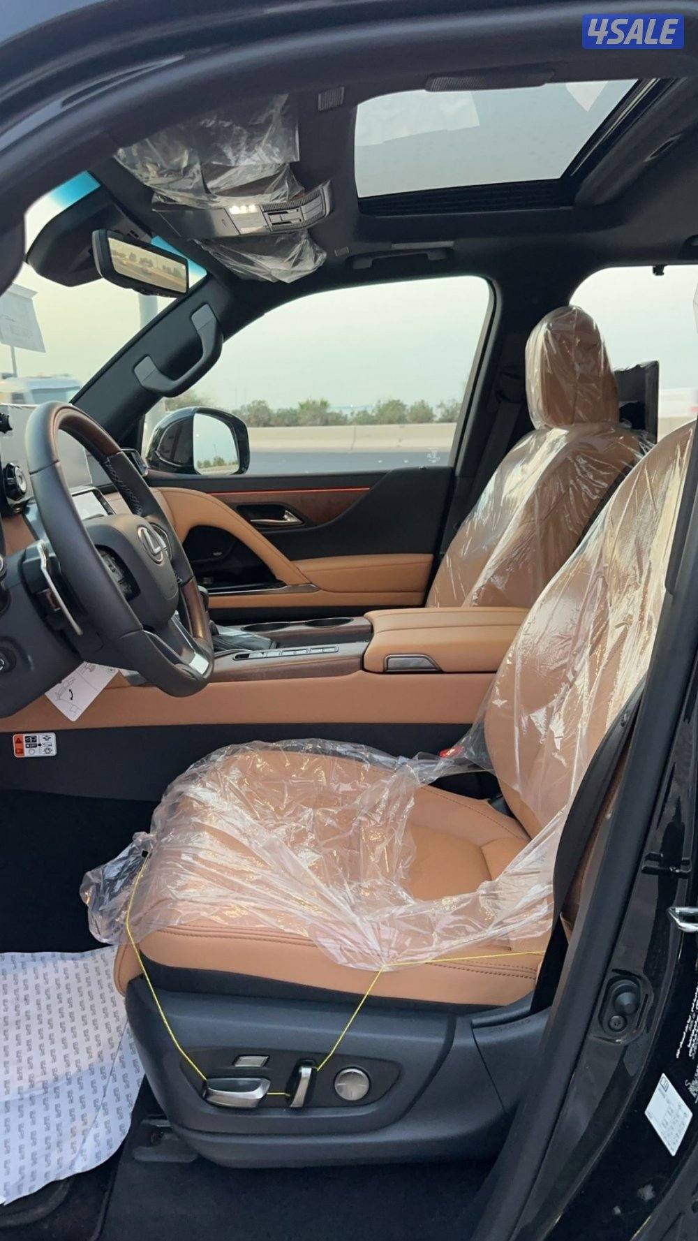 شبه اصفار الدرجه الأولى7