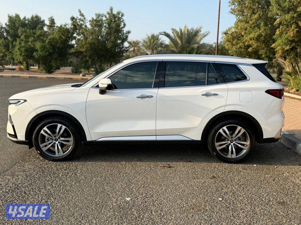 FORD TERRITORY TITANIUM4