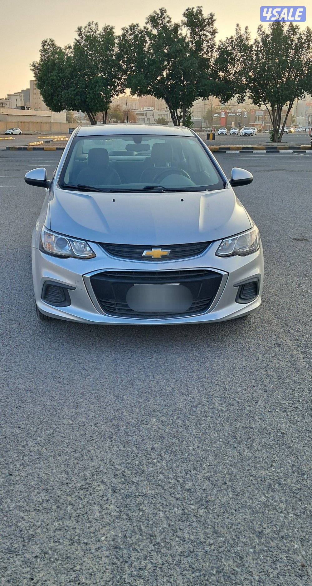 سيرفيس وكالة/ صبغ وكالة1