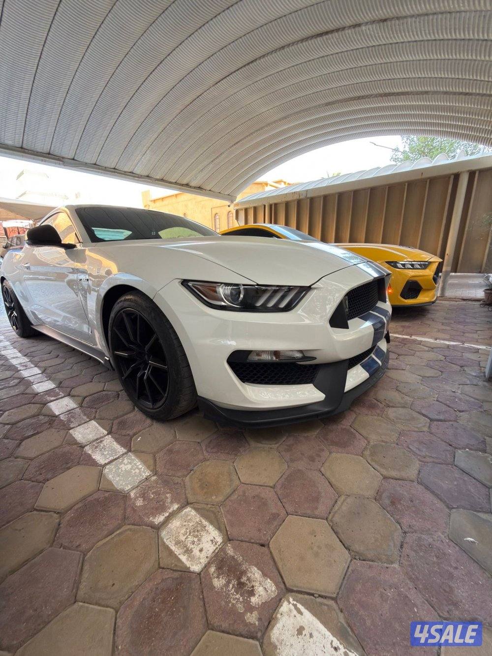 للبيع موستنج شلبي gt3501
