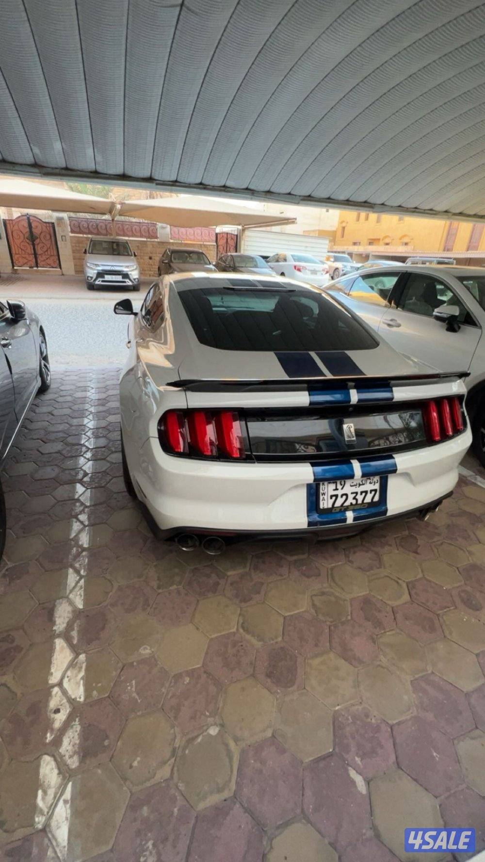 للبيع موستنج شلبي gt3502