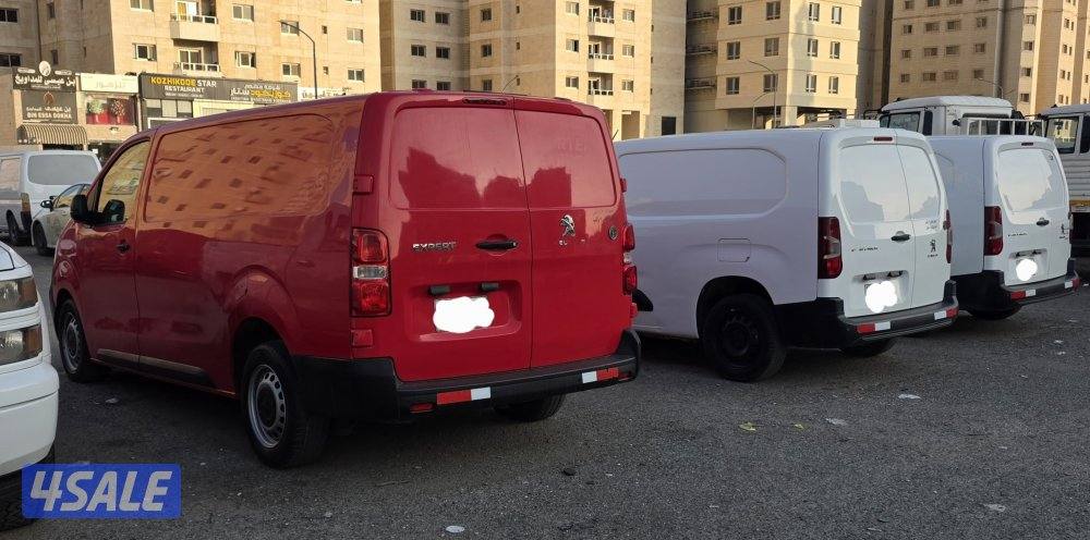 بيجو 2020/21/223