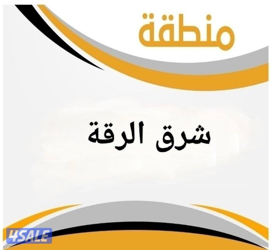 للبيع ارض شرق الرقة ق 80