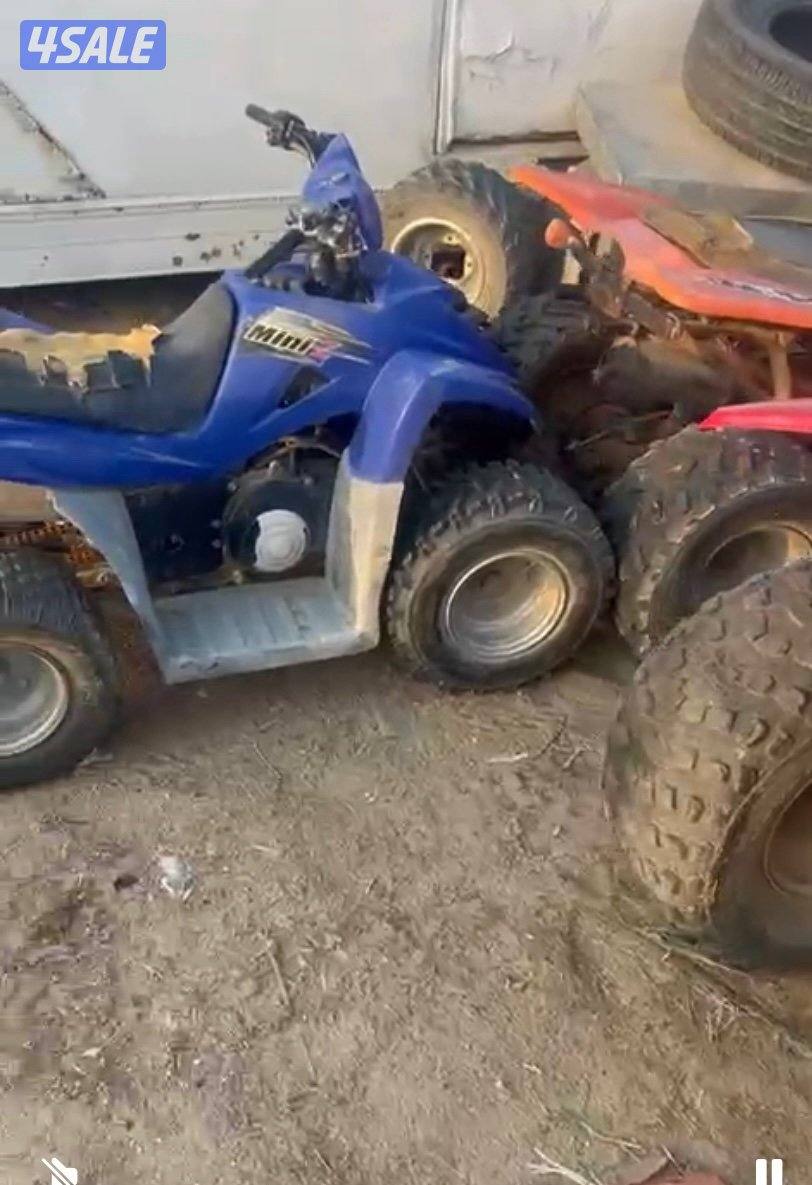 للبييع بقيات جمله او مفرد احجم مختالفه1