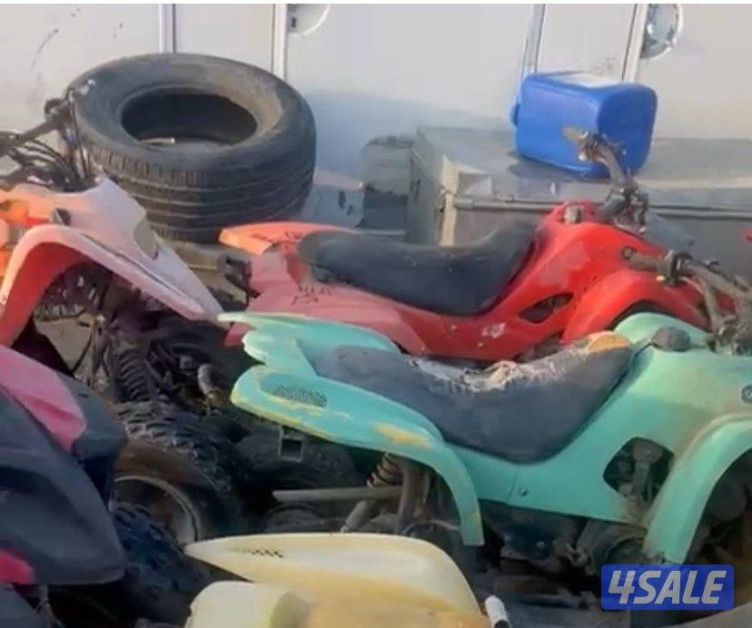 للبييع بقيات جمله او مفرد احجم مختالفه0