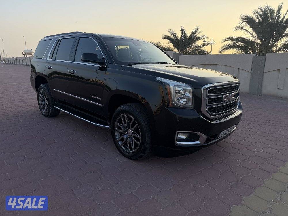 يوكن 2017 صبغ الوكالة3