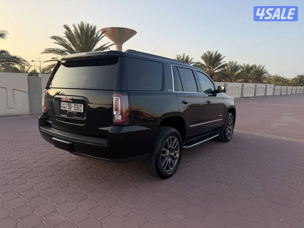 يوكن 2017 صبغ الوكالة5