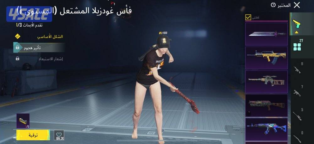 حساب ببجي قديم1