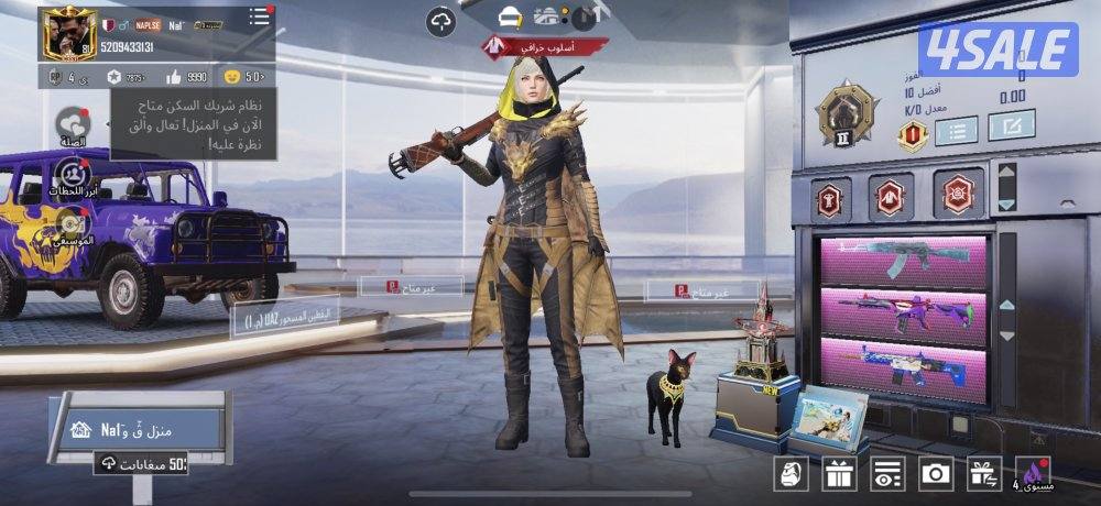 حساب ببجي قديم2