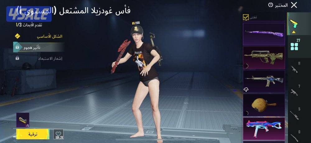 حساب ببجي قديم6