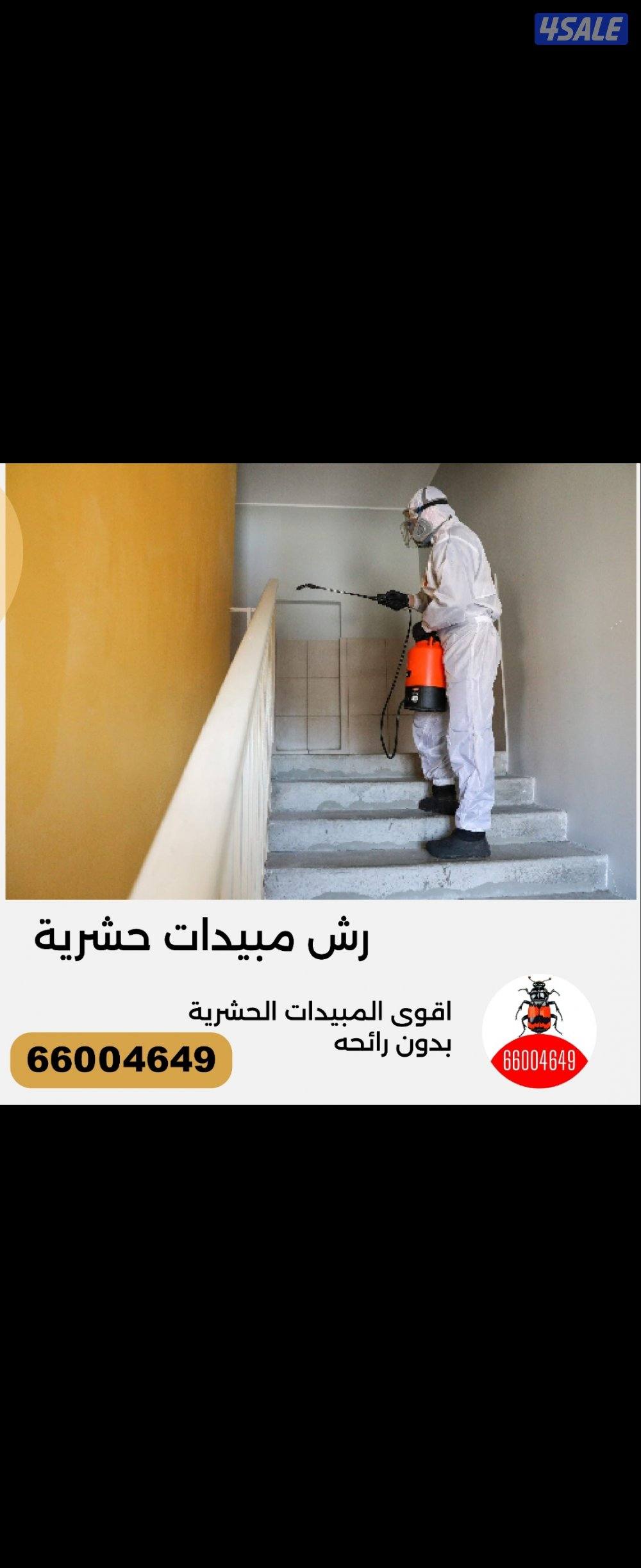 مكافحه حشرات رش الحشرات عجينه الصراصير زهيوي#مكافحة#حشرات1