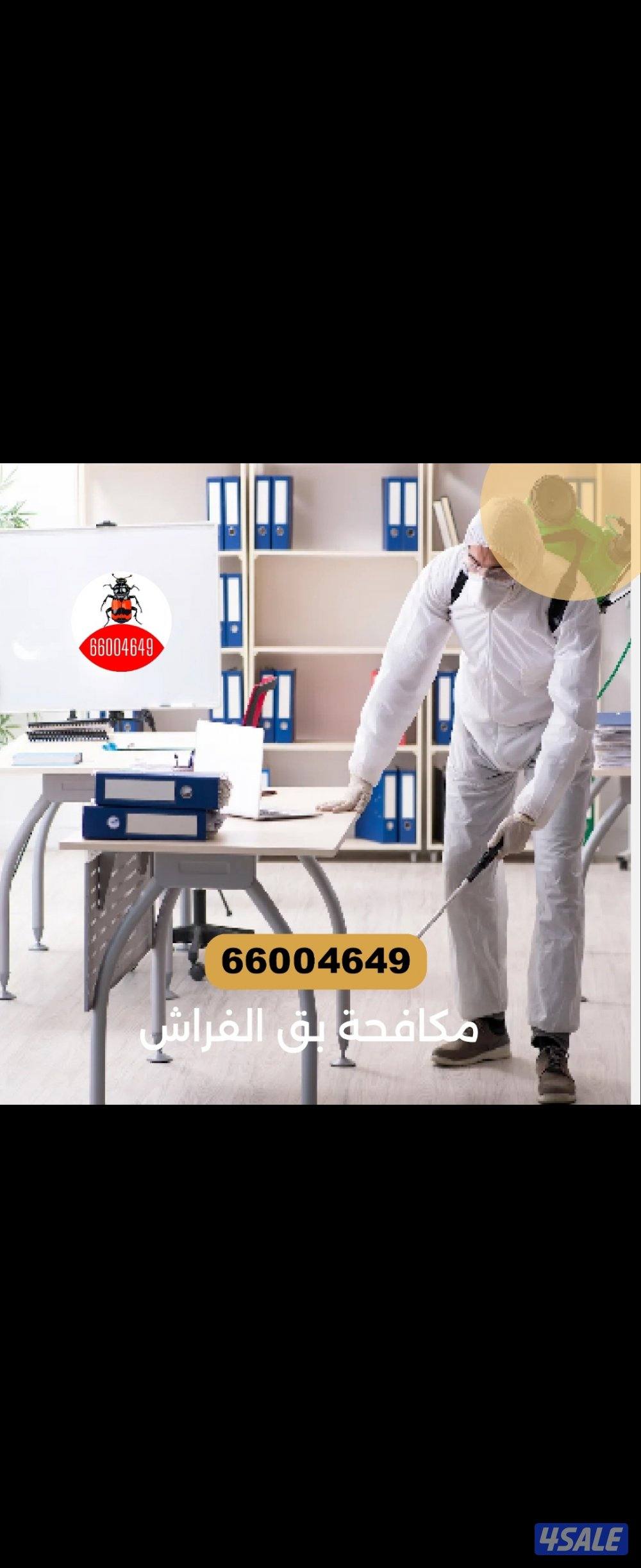 مكافحه حشرات رش الحشرات عجينه الصراصير زهيوي#مكافحة#حشرات2