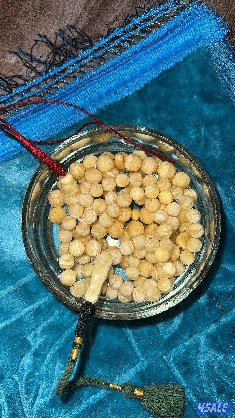 مسباحين كهرب مشاخيط تبارك الرحمن🐆🐆🐆2