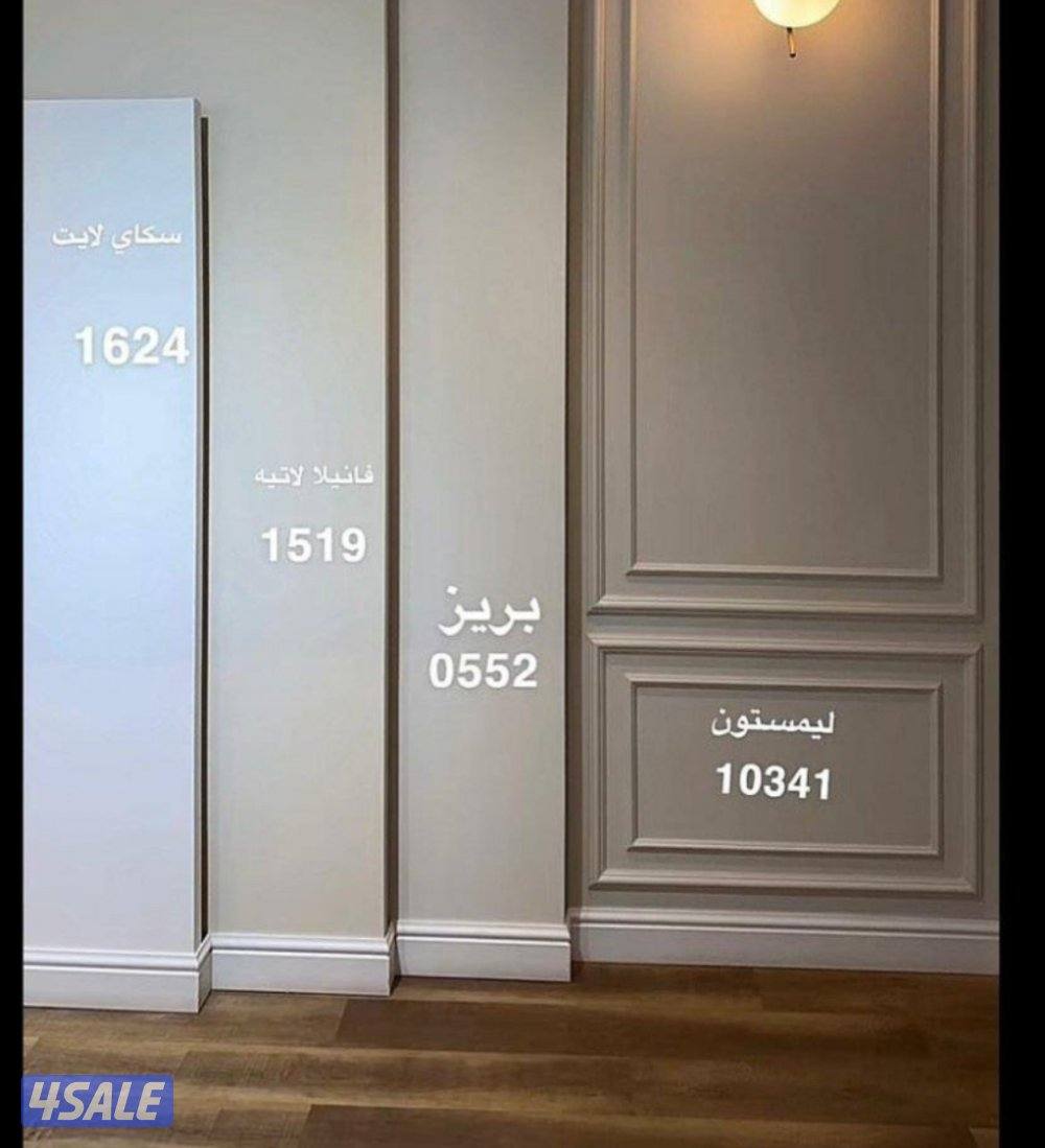 صباغ باكستاني1