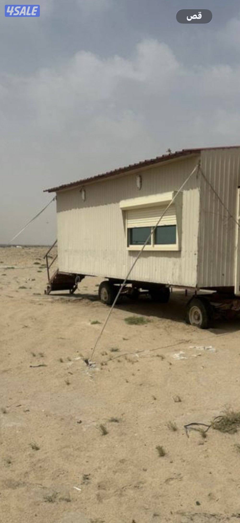 للبيع كبرة دوانية0